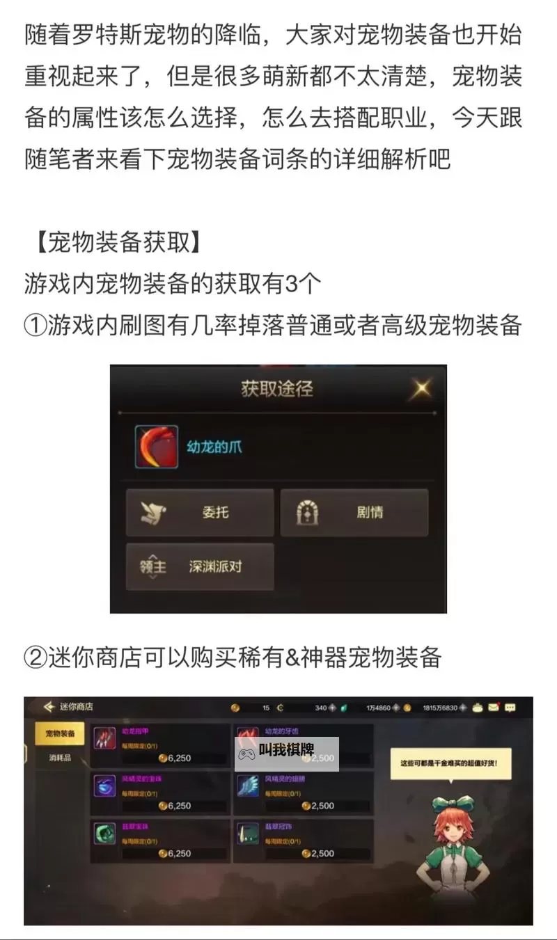 《地下城与勇士手游（DNF手游）》宠物系统玩法讲解 宠物系统怎么玩图1